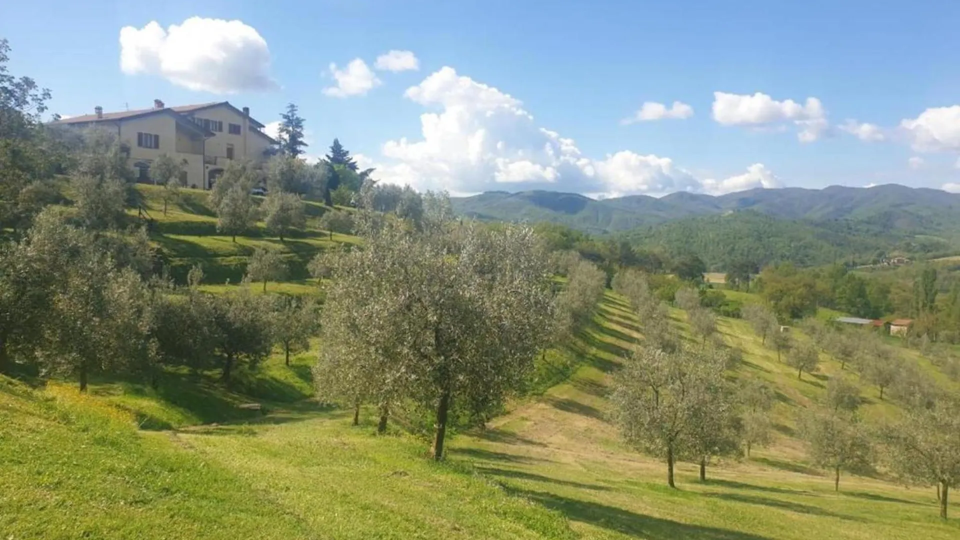 Cosy Holiday Home In Tuscany With Shared Swimming Pool San Casciano in Val di Pesa