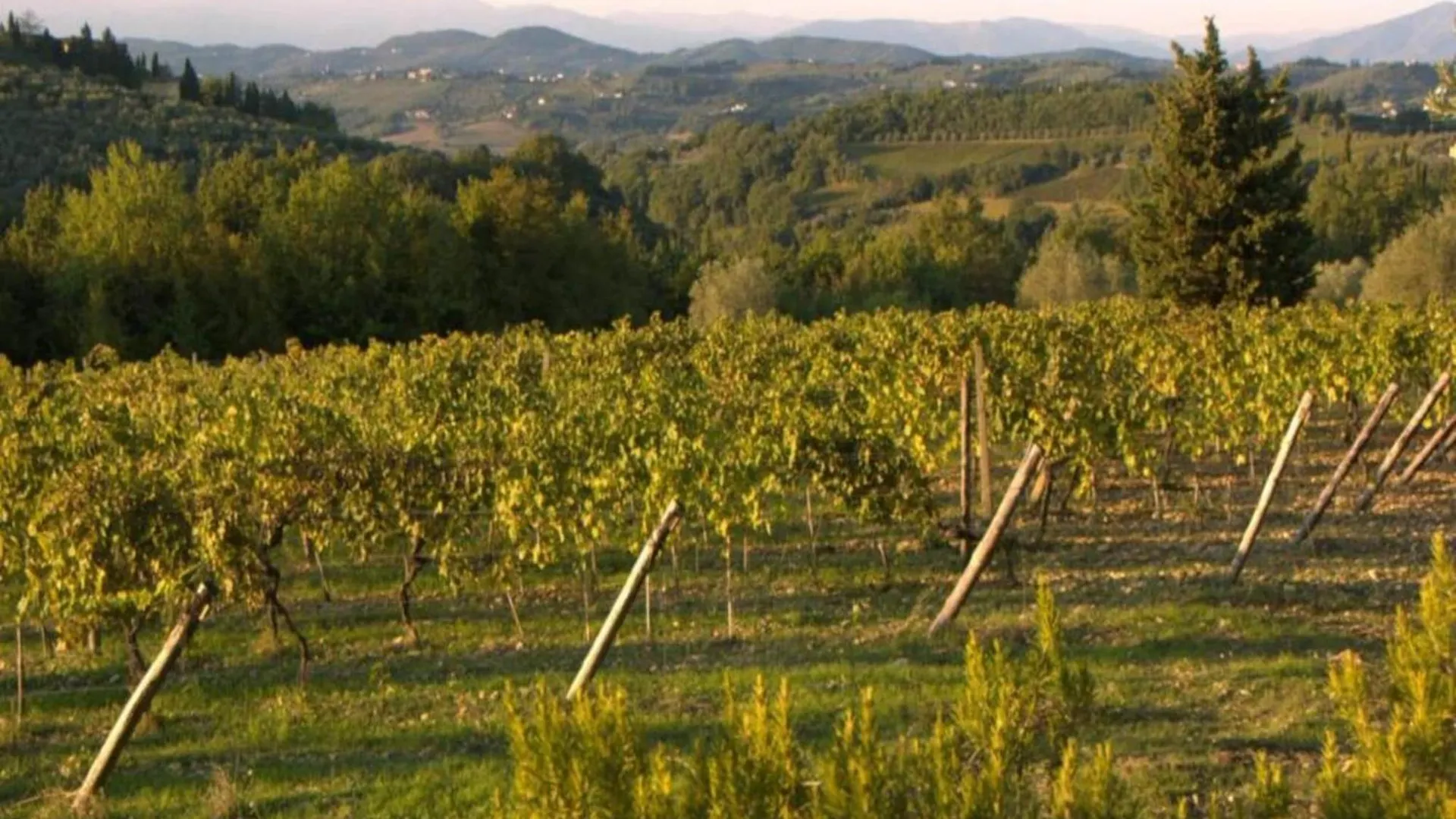 Cosy Holiday Home In Tuscany With Shared Swimming Pool San Casciano in Val di Pesa