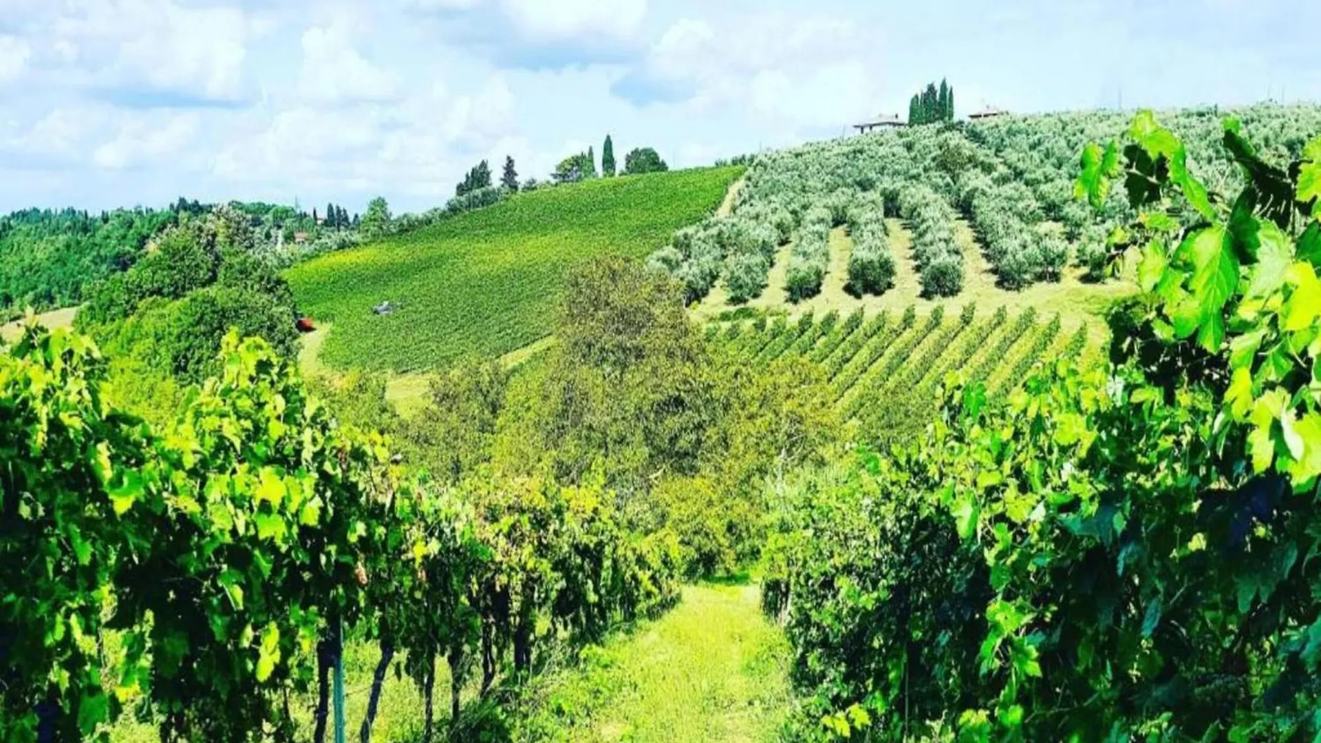 Cosy Holiday Home In Tuscany With Shared Swimming Pool San Casciano in Val di Pesa